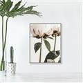 Picture of Romantic Blur Peony IV _GroupedProduct_Rectangle_Portrait_Photography _GroupedProduct_Rectangle_Portrait_Canvas_Framed_