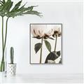 Picture of Romantic Blur Peony IV _GroupedProduct_Rectangle_Portrait_Photography _GroupedProduct_Rectangle_Portrait_Canvas_Framed_
