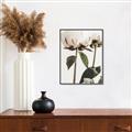 Picture of Romantic Blur Peony IV _GroupedProduct_Rectangle_Portrait_Photography _GroupedProduct_Rectangle_Portrait_Canvas_Framed_