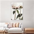 Picture of Romantic Blur Peony IV _GroupedProduct_Rectangle_Portrait_Photography _GroupedProduct_Rectangle_Portrait_Canvas_Framed_