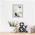 Picture of Romantic Blur Peony III _GroupedProduct_Rectangle_Portrait_Photography _GroupedProduct_Rectangle_Portrait_Canvas_Framed_