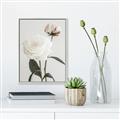 Picture of Romantic Blur Peony III _GroupedProduct_Rectangle_Portrait_Photography _GroupedProduct_Rectangle_Portrait_Canvas_Framed_