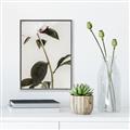 Picture of Romantic Blur Peony II _GroupedProduct_Rectangle_Portrait_Photography _GroupedProduct_Rectangle_Portrait_Canvas_Framed_