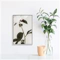 Picture of Romantic Blur Peony II _GroupedProduct_Rectangle_Portrait_Photography _GroupedProduct_Rectangle_Portrait_Canvas_Framed_