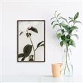 Picture of Romantic Blur Peony II _GroupedProduct_Rectangle_Portrait_Photography _GroupedProduct_Rectangle_Portrait_Canvas_Framed_