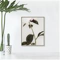 Picture of Romantic Blur Peony II _GroupedProduct_Rectangle_Portrait_Photography _GroupedProduct_Rectangle_Portrait_Canvas_Framed_