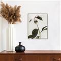 Picture of Romantic Blur Peony II _GroupedProduct_Rectangle_Portrait_Photography _GroupedProduct_Rectangle_Portrait_Canvas_Framed_