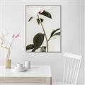 Picture of Romantic Blur Peony II _GroupedProduct_Rectangle_Portrait_Photography _GroupedProduct_Rectangle_Portrait_Canvas_Framed_