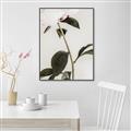 Picture of Romantic Blur Peony II _GroupedProduct_Rectangle_Portrait_Photography _GroupedProduct_Rectangle_Portrait_Canvas_Framed_
