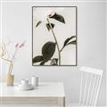 Picture of Romantic Blur Peony II _GroupedProduct_Rectangle_Portrait_Photography _GroupedProduct_Rectangle_Portrait_Canvas_Framed_