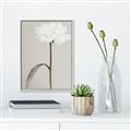 Picture of Romantic Blur Peony I _GroupedProduct_Rectangle_Portrait_Photography _GroupedProduct_Rectangle_Portrait_Canvas_Framed_