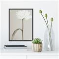 Picture of Romantic Blur Peony I _GroupedProduct_Rectangle_Portrait_Photography _GroupedProduct_Rectangle_Portrait_Canvas_Framed_