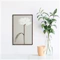 Picture of Romantic Blur Peony I _GroupedProduct_Rectangle_Portrait_Photography _GroupedProduct_Rectangle_Portrait_Canvas_Framed_