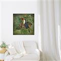Picture of Tropical Paradise Toucan Bird _GroupedProduct_Square_Canvas_Framed_