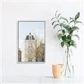 Picture of Spring in Europe _GroupedProduct_Rectangle_Portrait_Photography _GroupedProduct_Rectangle_Portrait_Canvas_Framed_