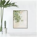 Picture of Few Olive Tree Leaves _GroupedProduct_Rectangle_Portrait_Photography _GroupedProduct_Rectangle_Portrait_Canvas_Framed_