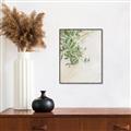 Picture of Few Olive Tree Leaves _GroupedProduct_Rectangle_Portrait_Photography _GroupedProduct_Rectangle_Portrait_Canvas_Framed_