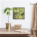 Picture of Vintage Tropical Birds I _GroupedProduct_Square_Canvas_Framed_