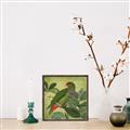 Picture of Vintage Tropical Birds II _GroupedProduct_Square_Canvas_Framed_