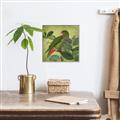 Picture of Vintage Tropical Birds II _GroupedProduct_Square_Canvas_Framed_