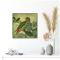 Picture of Vintage Tropical Birds II _GroupedProduct_Square_Canvas_Framed_