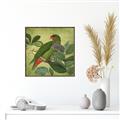 Picture of Vintage Tropical Birds II _GroupedProduct_Square_Canvas_Framed_