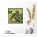 Picture of Vintage Tropical Birds II _GroupedProduct_Square_Canvas_Framed_