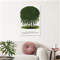 Picture of Kilmarnock Weeping Willow Tree Lithograph _GroupedProduct_Rectangle_Portrait_Unframed_Print_Only_