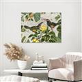 Picture of Parrots Nostalgic Journey 2 _GroupedProduct_Rectangle_Landscape_Unframed_Print_Only_