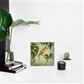 Picture of Yellow Nostalgic Tropical Birds _GroupedProduct_Square_Unframed_Print_Only_