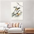 Picture of Two Yellow Warbler Birds _GroupedProduct_Rectangle_Portrait_Unframed_Print_Only_
