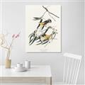 Picture of Two Yellow Warbler Birds _GroupedProduct_Rectangle_Portrait_Unframed_Print_Only_