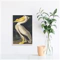 Picture of Vintage White Pelican _GroupedProduct_Rectangle_Portrait_Unframed_Print_Only_