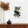 Picture of Raven From Birds of America (1827) _GroupedProduct_Rectangle_Portrait_Unframed_Print_Only_