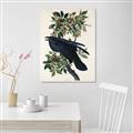 Picture of Raven From Birds of America (1827) _GroupedProduct_Rectangle_Portrait_Unframed_Print_Only_