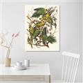 Picture of Vintage Carolina Parrot _GroupedProduct_Rectangle_Portrait_Unframed_Print_Only_