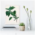Picture of Nostalgic Green Lilac Leaves _GroupedProduct_Rectangle_Portrait_Unframed_Print_Only_