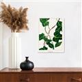 Picture of Nostalgic Green Murgrona Leaves _GroupedProduct_Rectangle_Portrait_Unframed_Print_Only_
