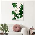 Picture of Nostalgic Green Murgrona Leaves _GroupedProduct_Rectangle_Portrait_Unframed_Print_Only_