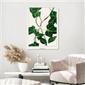 Picture of Nostalgic Green Murgrona Leaves _GroupedProduct_Rectangle_Portrait_Unframed_Print_Only_