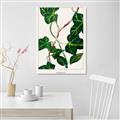 Picture of Nostalgic Green Murgrona Leaves _GroupedProduct_Rectangle_Portrait_Unframed_Print_Only_