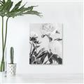 Picture of Romantic Blur Peony V _GroupedProduct_Rectangle_Portrait_Photography _GroupedProduct_Rectangle_Portrait_Unframed_Print_Only_