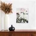 Picture of Romantic Blur Peony V _GroupedProduct_Rectangle_Portrait_Photography _GroupedProduct_Rectangle_Portrait_Unframed_Print_Only_