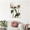 Picture of Romantic Blur Peony IV _GroupedProduct_Rectangle_Portrait_Photography _GroupedProduct_Rectangle_Portrait_Unframed_Print_Only_