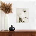 Picture of Romantic Blur Peony III _GroupedProduct_Rectangle_Portrait_Photography _GroupedProduct_Rectangle_Portrait_Unframed_Print_Only_
