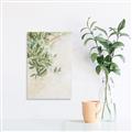 Picture of Few Olive Tree Leaves _GroupedProduct_Rectangle_Portrait_Photography _GroupedProduct_Rectangle_Portrait_Unframed_Print_Only_