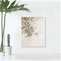 Picture of Few Olive Tree Leaves _GroupedProduct_Rectangle_Portrait_Photography _GroupedProduct_Rectangle_Portrait_Unframed_Print_Only_