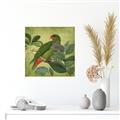 Picture of Vintage Tropical Birds II _GroupedProduct_Square_Unframed_Print_Only_