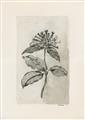 Picture of Vintage Flower II _GroupedProduct_Rectangle_Portrait_Unframed_Print_Only_