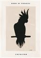 Picture of Vintage Cockatoo _GroupedProduct_Rectangle_Portrait_Unframed_Print_Only_